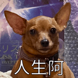 593167739