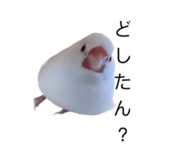 593181137