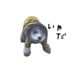 593187377