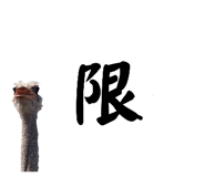 593196046