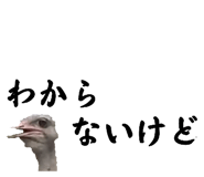 593196047