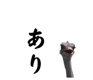 593196049
