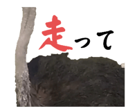 593196051