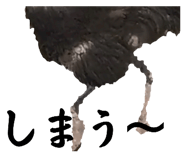 593196055