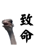 593196058