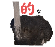 593196062