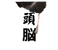 593196066