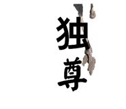 593196067