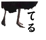 593196068