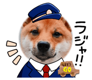 593205526
