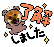 593205531