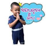 593214337