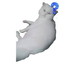 593248660