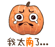 593255362