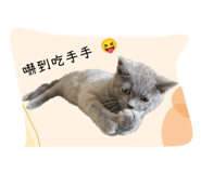 593277522