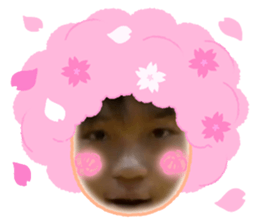 593292034