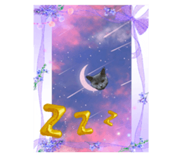 593331271