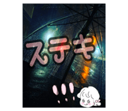 593331303