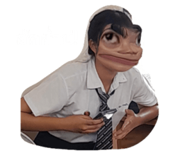593334503