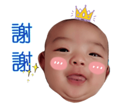59333534