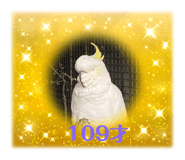 593337010