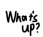 593351244