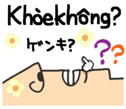 593354423