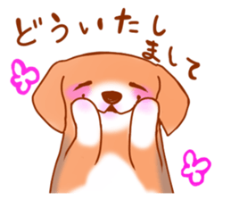 593355