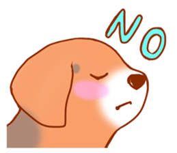 593363