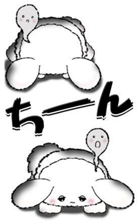 593363984