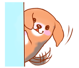 593368