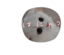 593376783