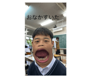 593379225