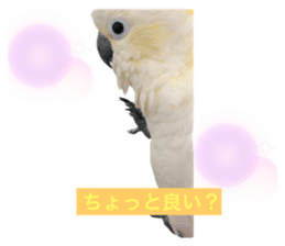 593414735