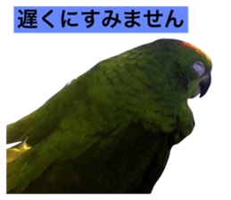 593414747