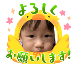 593434263