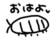 593439558