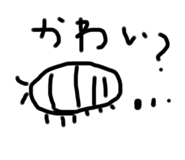 593439561