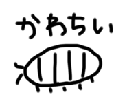 593439565