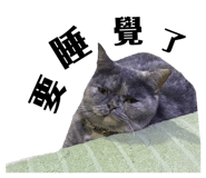593439899