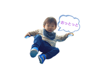 593446146