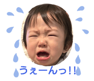 593446166