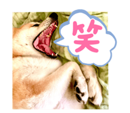 593447340