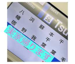 593474477