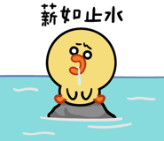 593497250