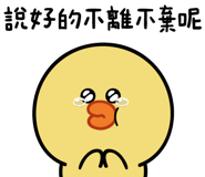 593497257