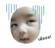 593516488