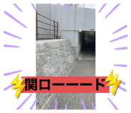 593528725