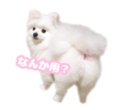 593547911