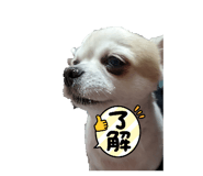 593583095